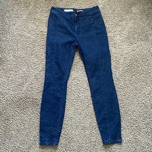 Anthropologie Pilcro Shimmer High Rise Jeans